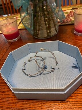 Swarovski crystal hoop earrings! Stunning and they sparkle so beautifully.